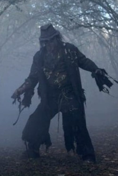 Hans Trapp er jólavættur og er enn einn and-jólasveinninn, sem refsar illa uppdregnum börnum fyrir misgjörðir þeirra í Alsace og Lorraine héruðum Frakklands